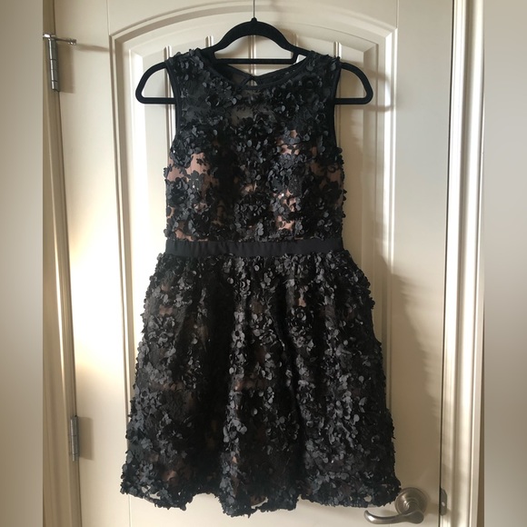 Little Mistress Black Beauty - Picture 4 of 5